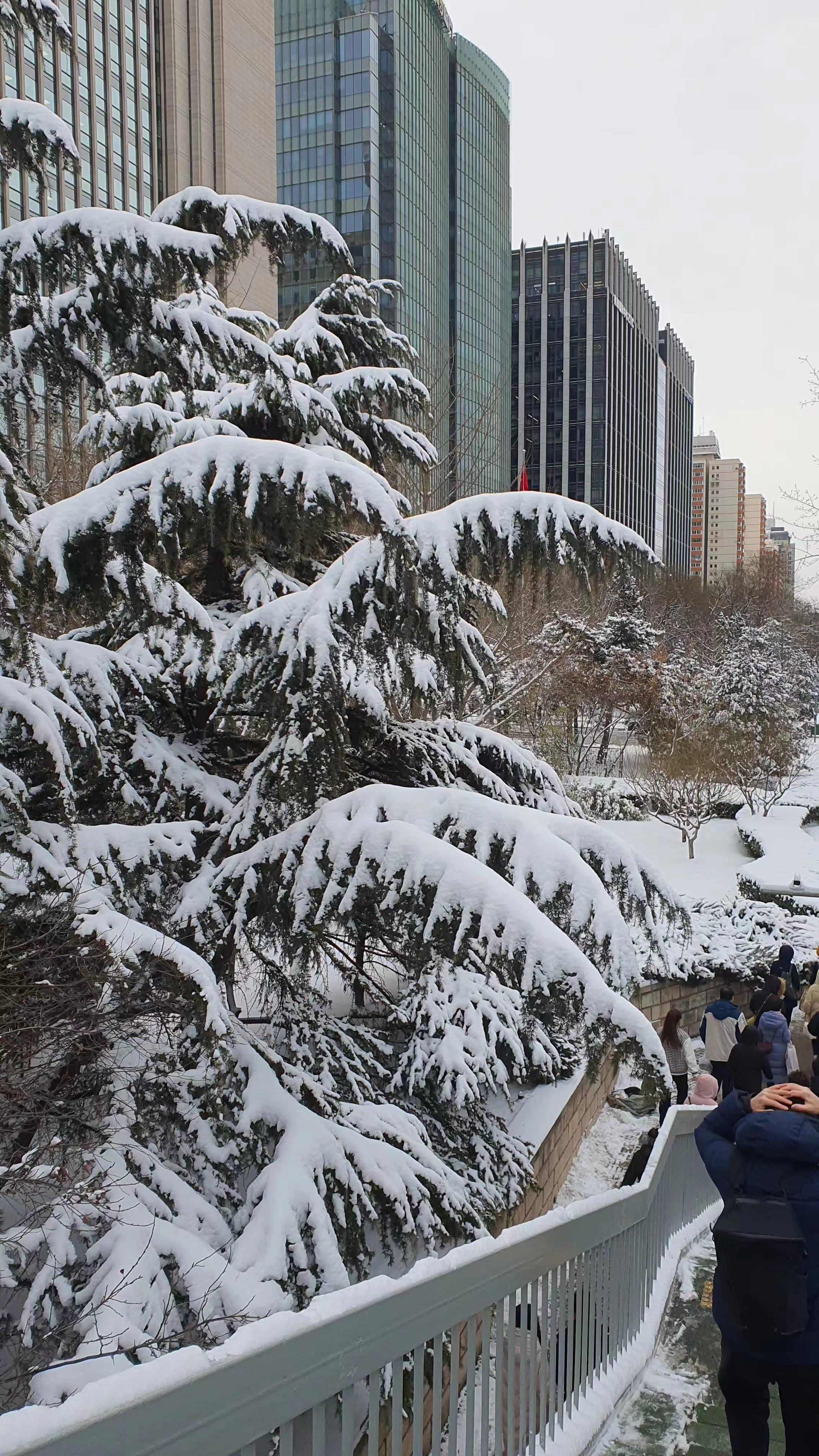下雪的北京二环